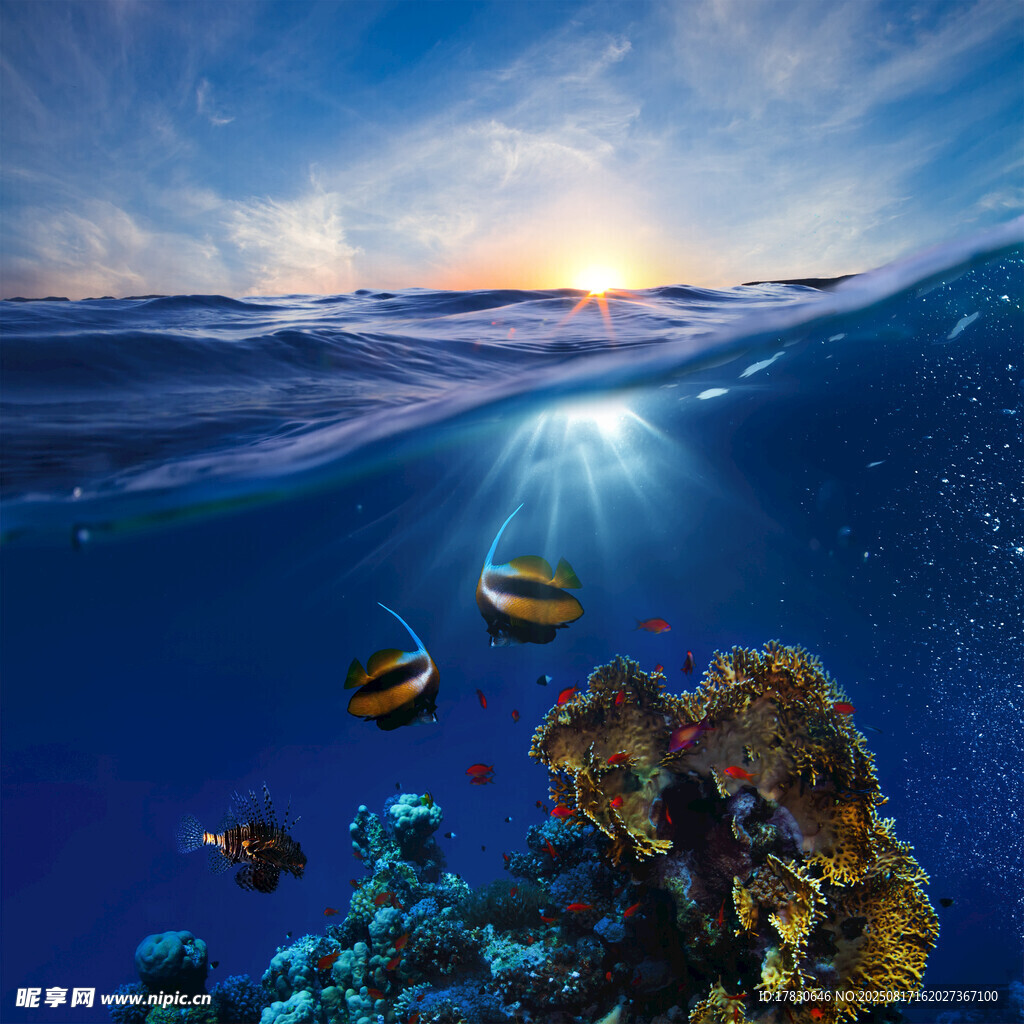 海底奇幻景观与游动小鱼