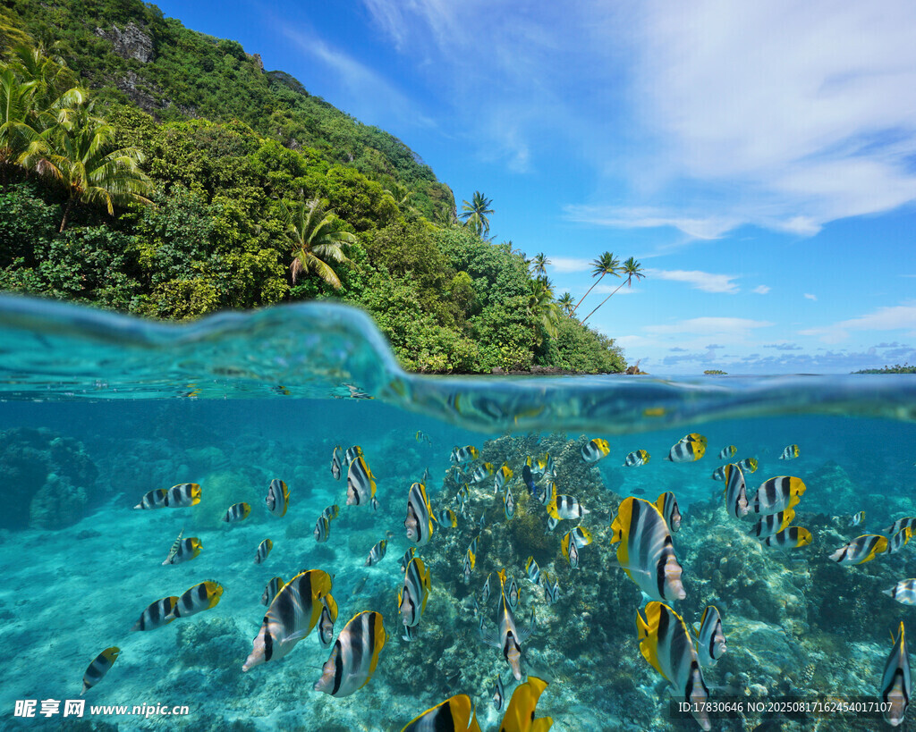 海底与海岛的梦幻景致