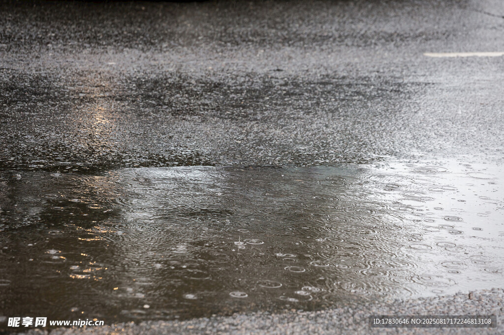 雨中积水路面景象