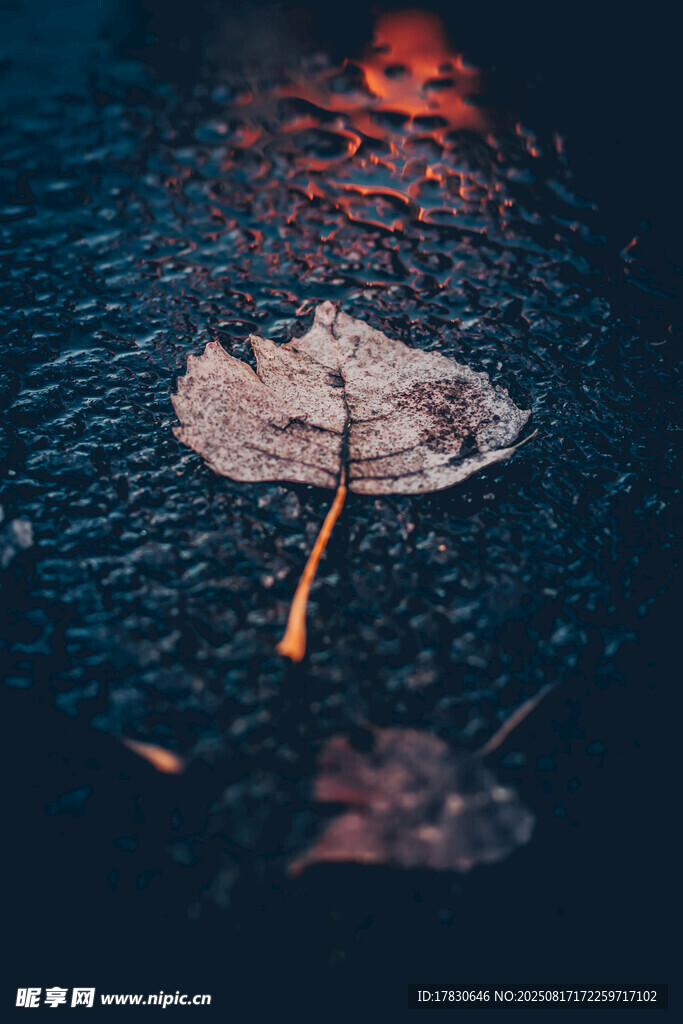 雨天氛围
