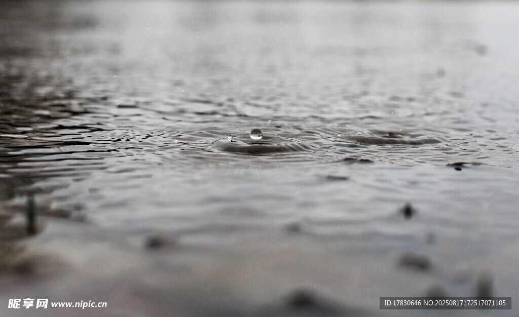 雨中积水泛起圈圈涟漪