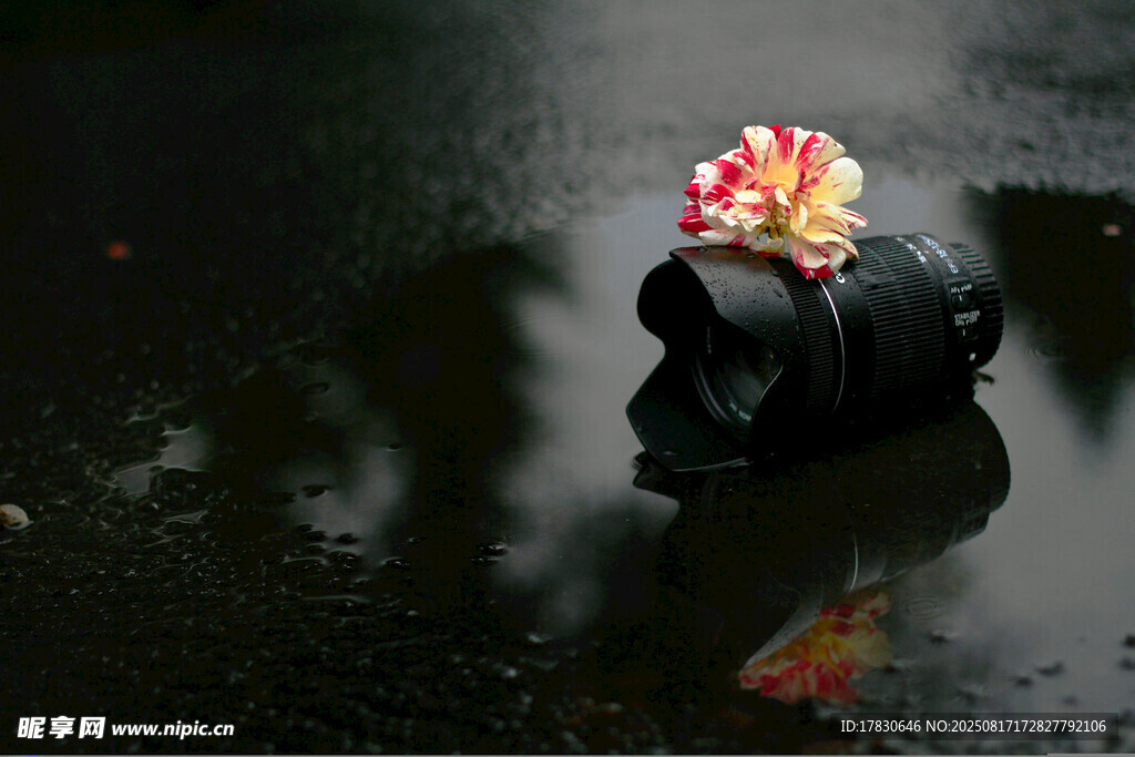 雨中绽放的废弃花瓶花朵