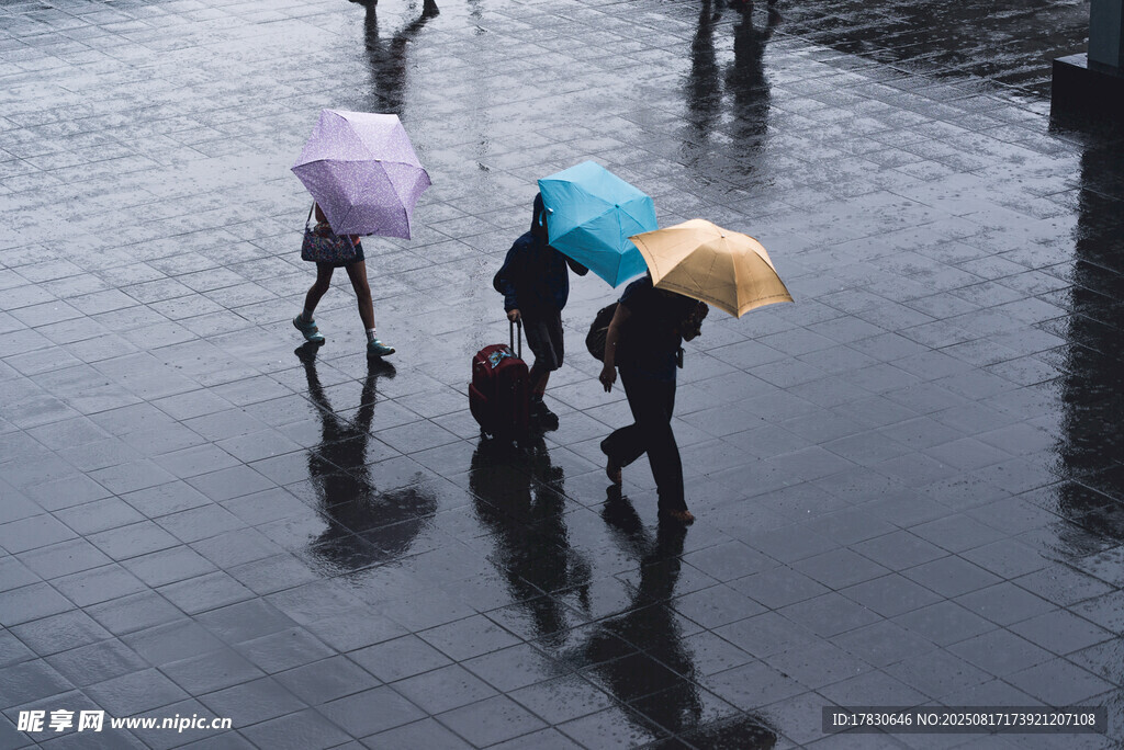 雨中行人撑伞漫步场景