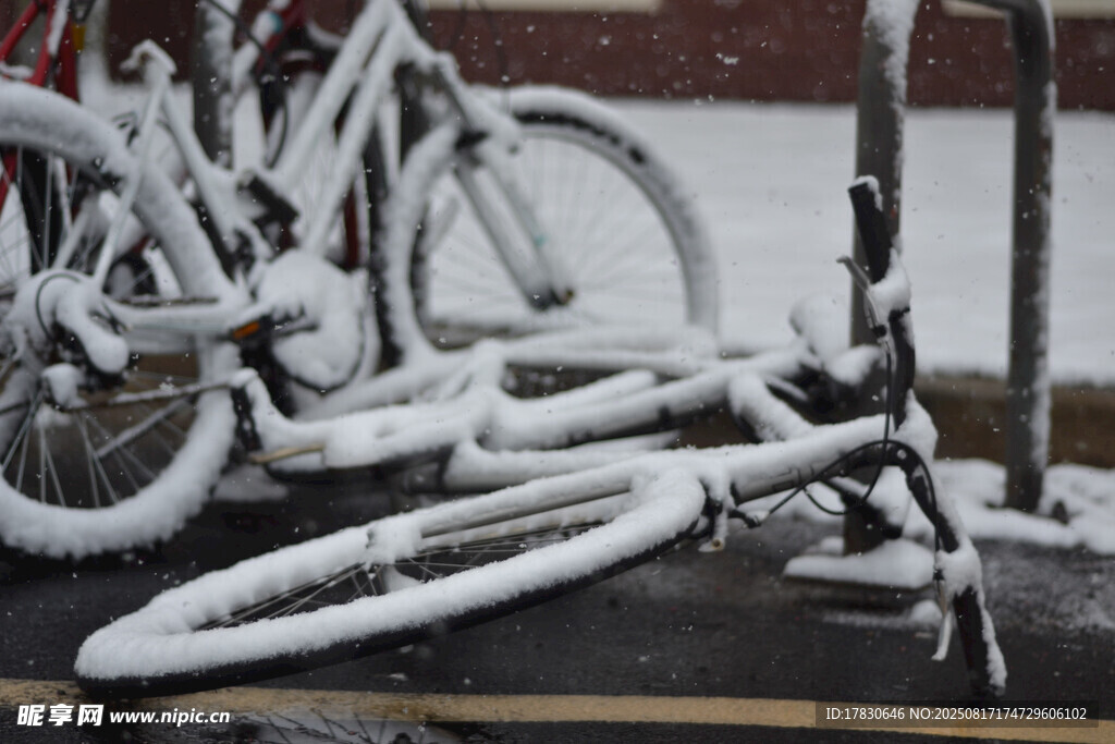 雪中倒地的自行车