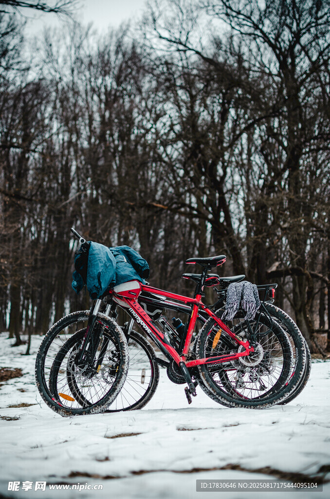 雪地中的红色山地自行车