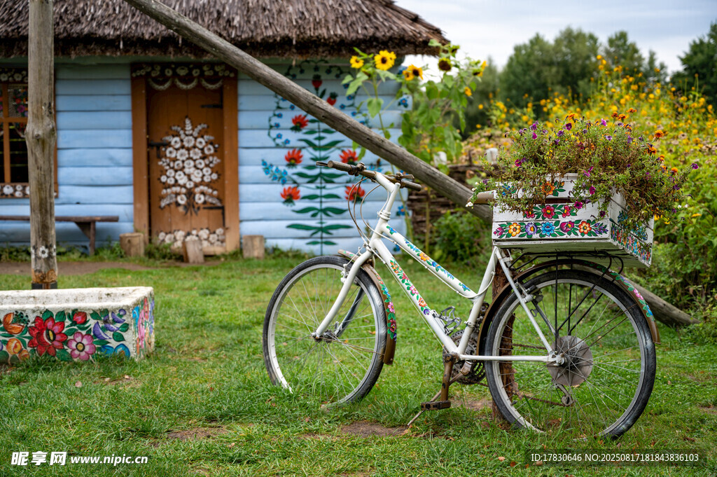 乡村小屋旁的复古自行车