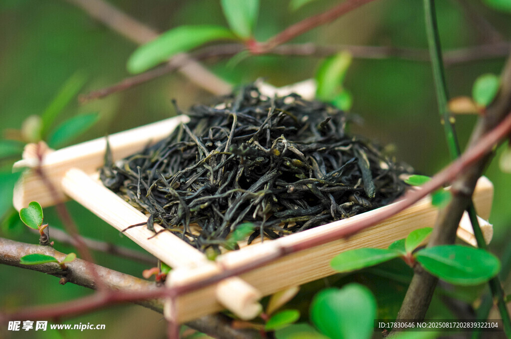 木盒中的鲜嫩茶叶