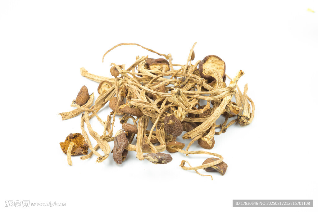 白底茶树菇
