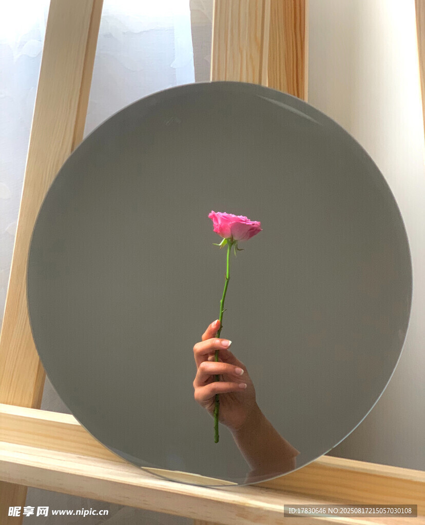 镜中手持粉花的独特画面