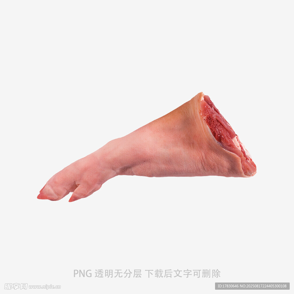 猪肉