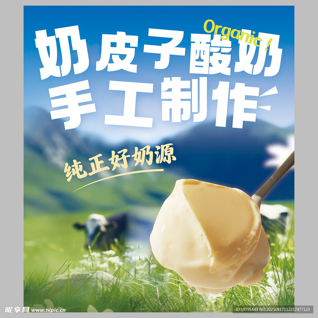 手工奶皮子酸奶 纯正奶源