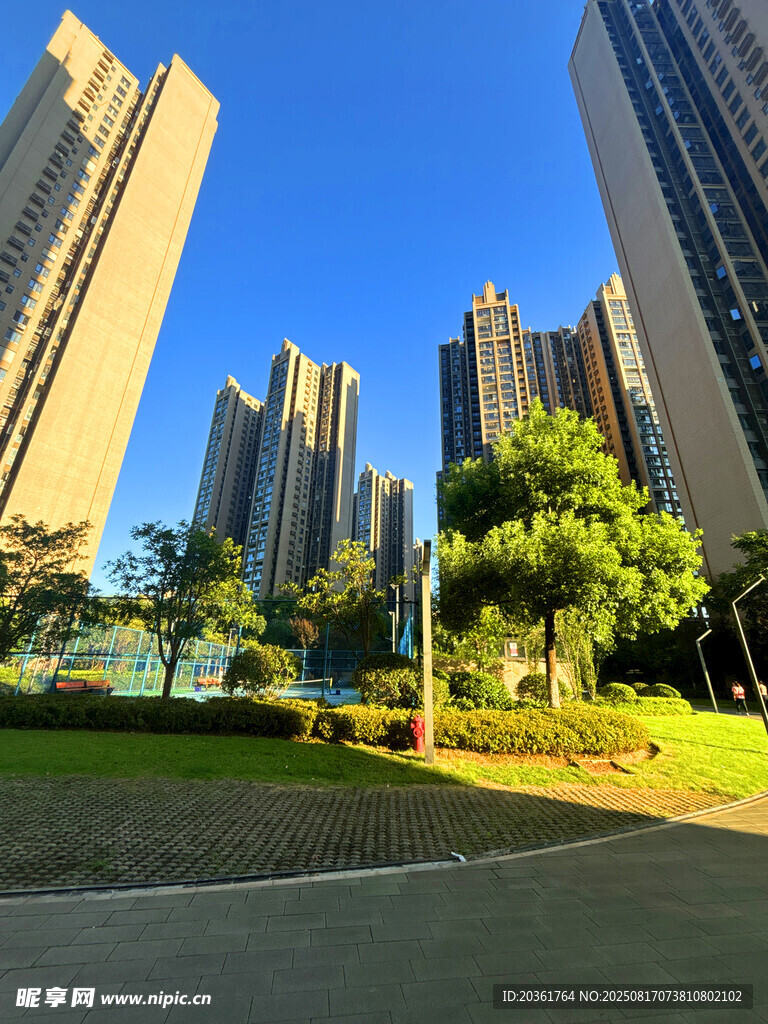 城市高楼旁的绿地景观