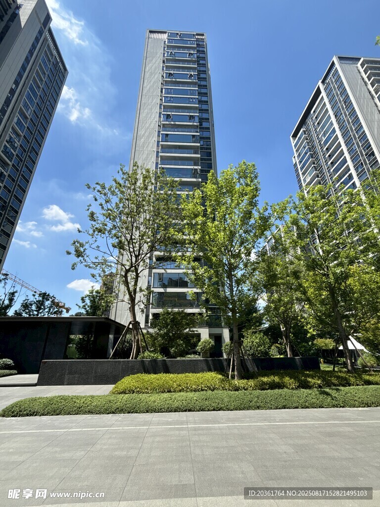 城市高楼与绿树景观