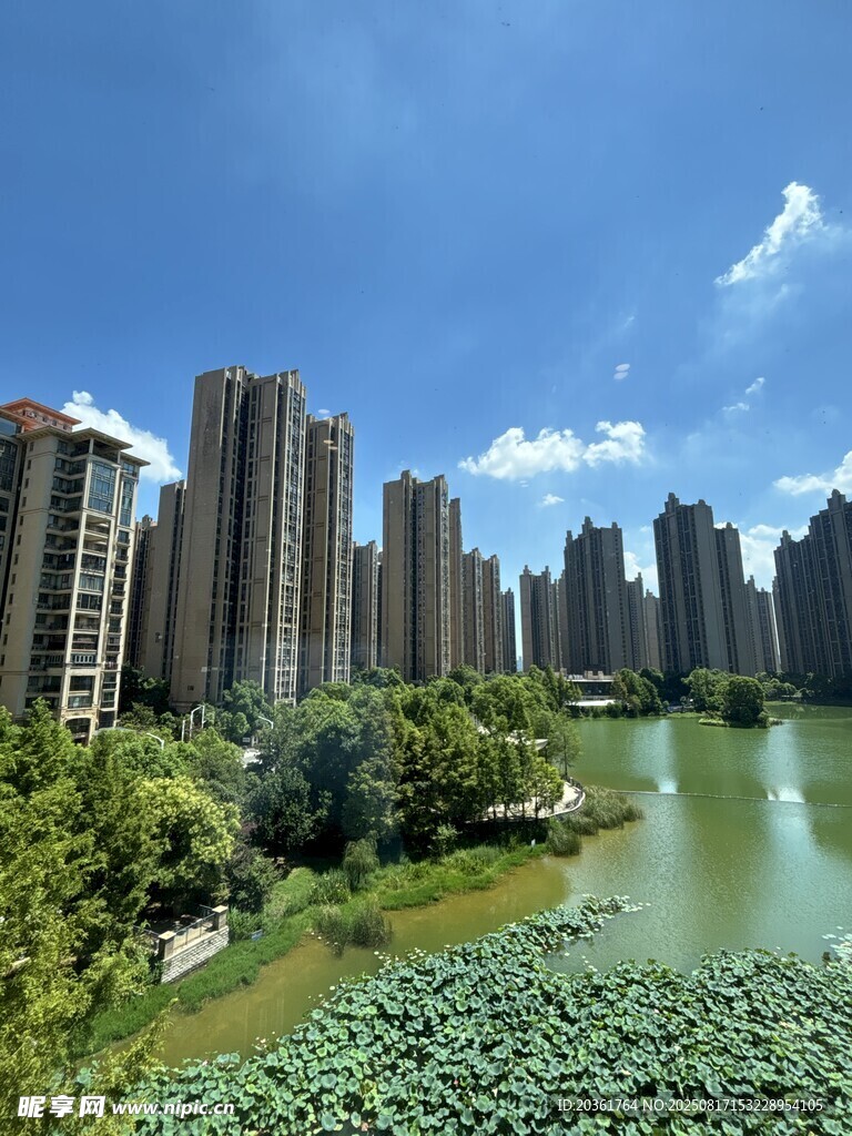 湖畔高楼林立的城市美景