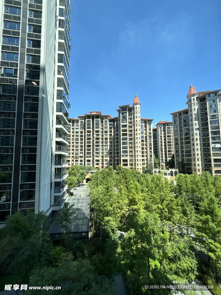 城市高楼与绿植景观