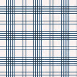 蓝白格子图案纹理