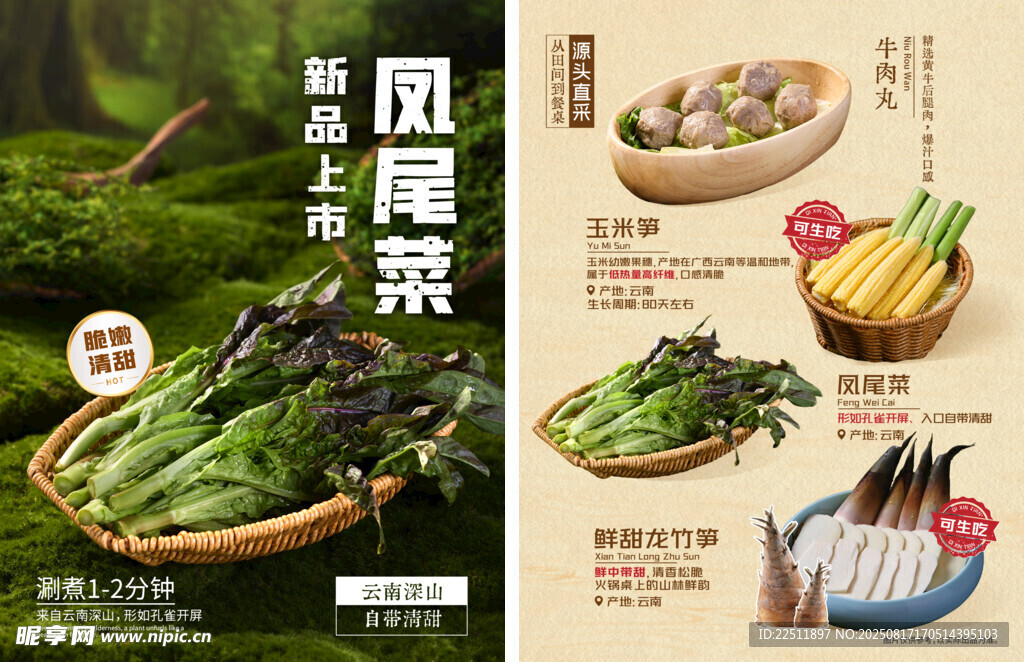 美味风尾菜 多样烹饪展示