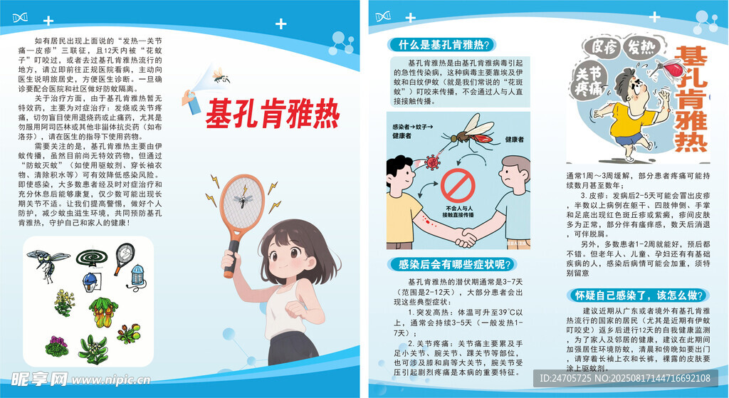 基孔肯雅热