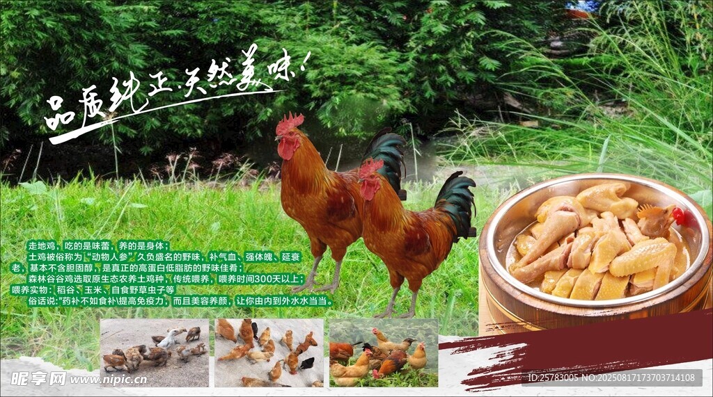 走地鸡  