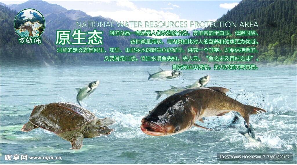 生态鱼  水库鱼  深水鱼