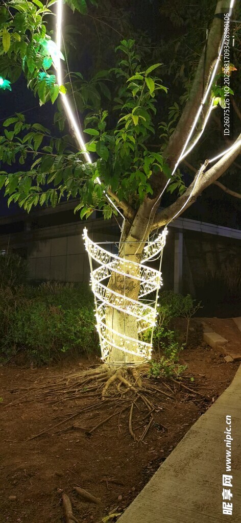 夜间装饰发光树干景观