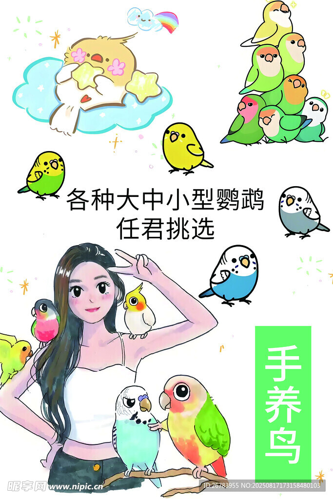 多样鹦鹉伴您生活
