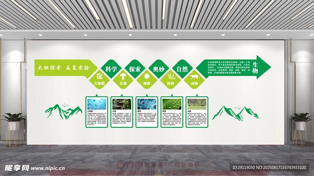 生物实验室文化墙