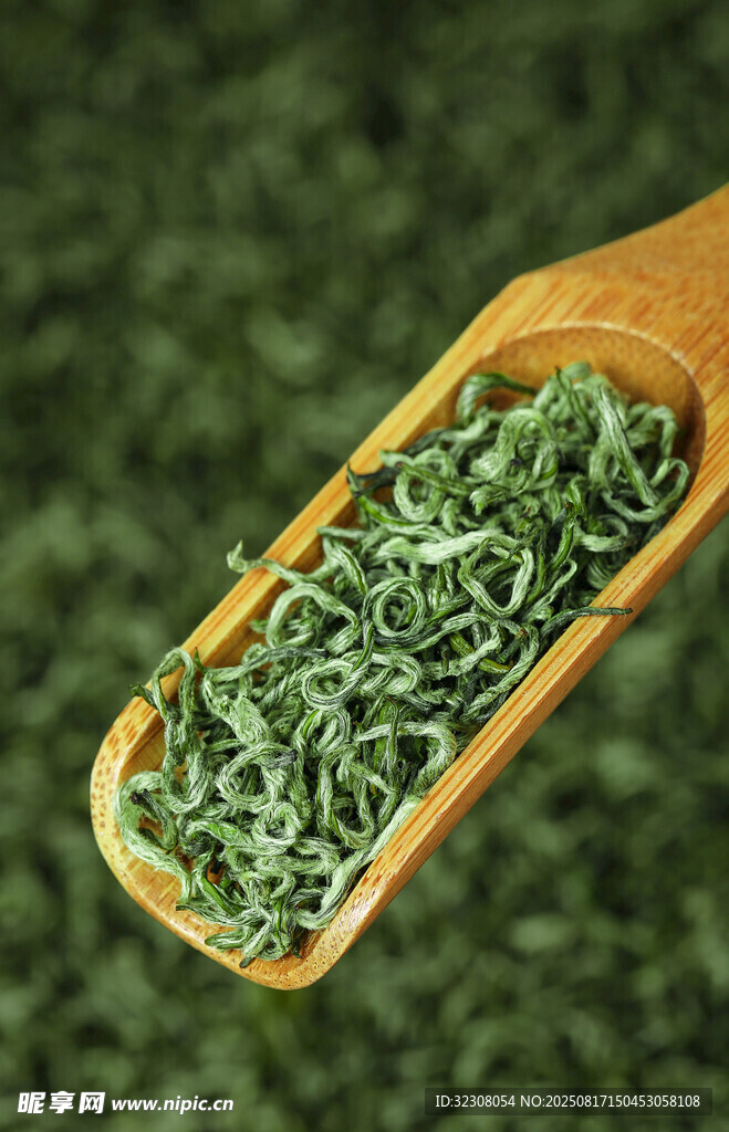 木勺中的新鲜绿色香草
