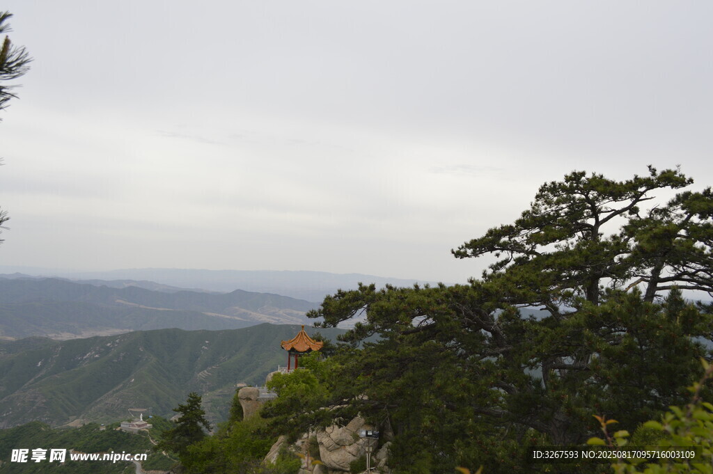 风景