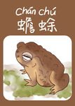 可爱蟾蜍插画
