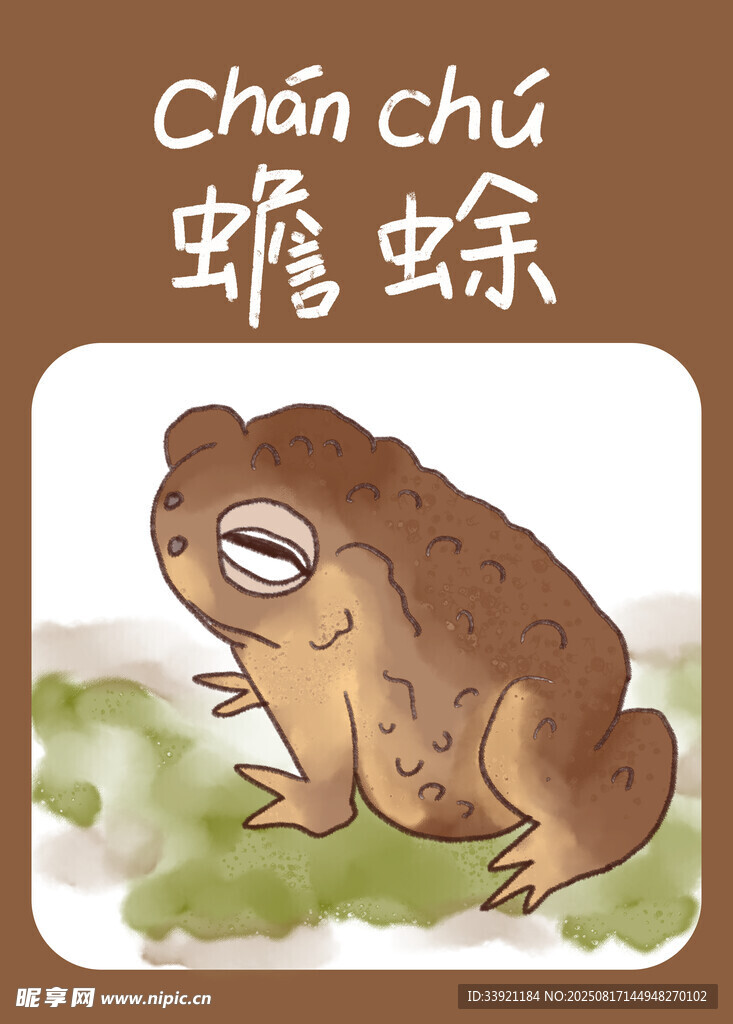 可爱蟾蜍插画