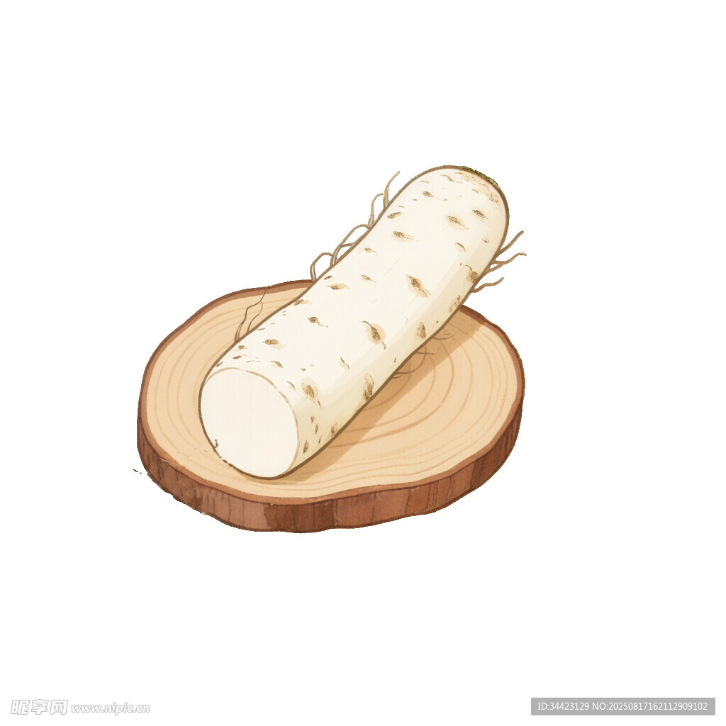 山药段
