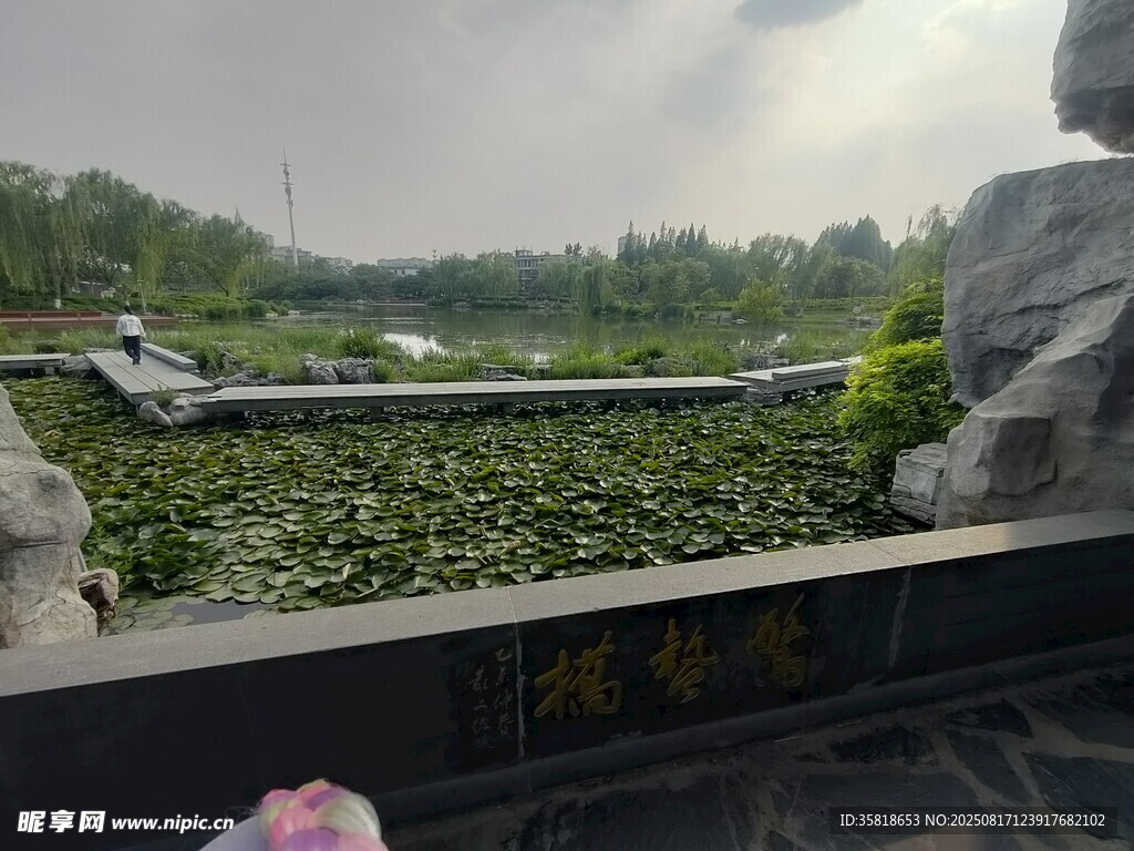 园林景观
