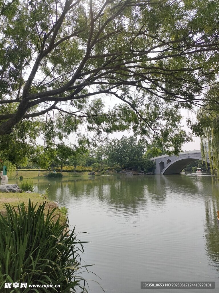 河畔风景