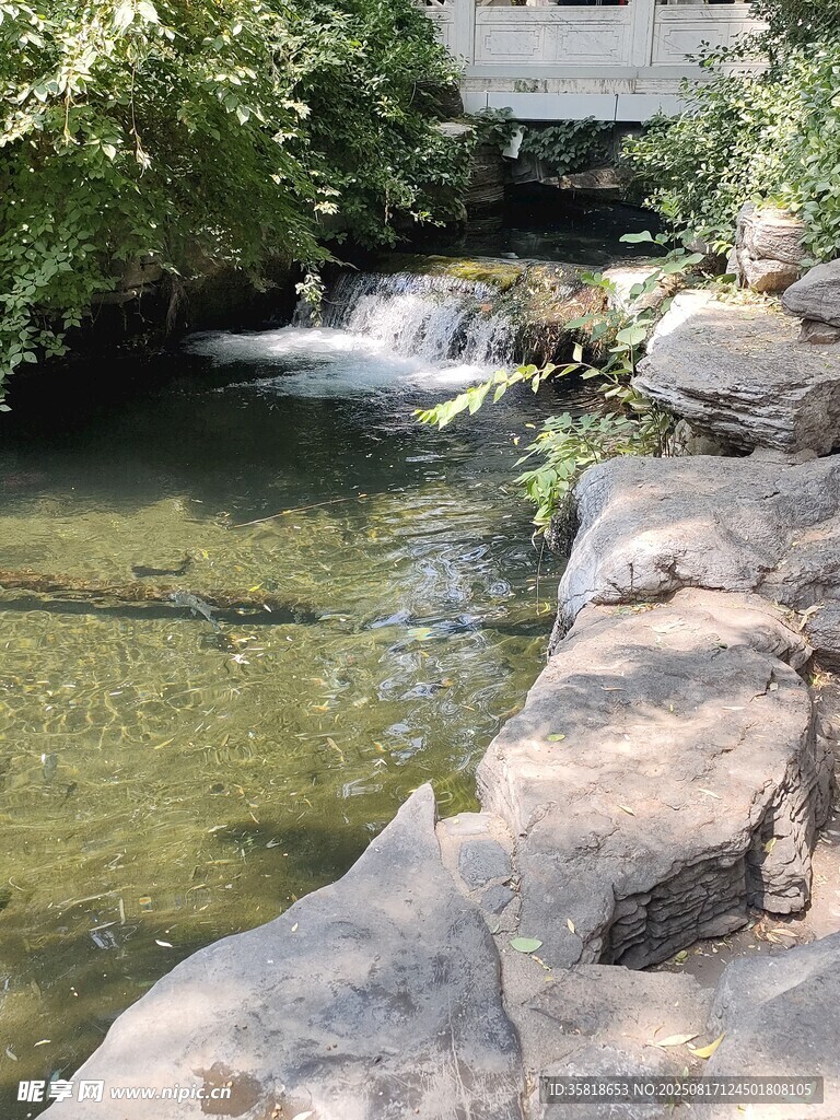 假山流水