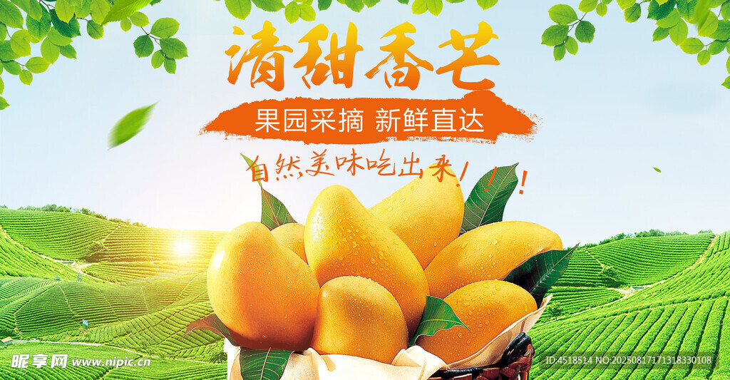 清甜芒果果香四溢海报