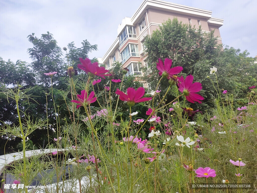 繁花簇拥下的建筑景观