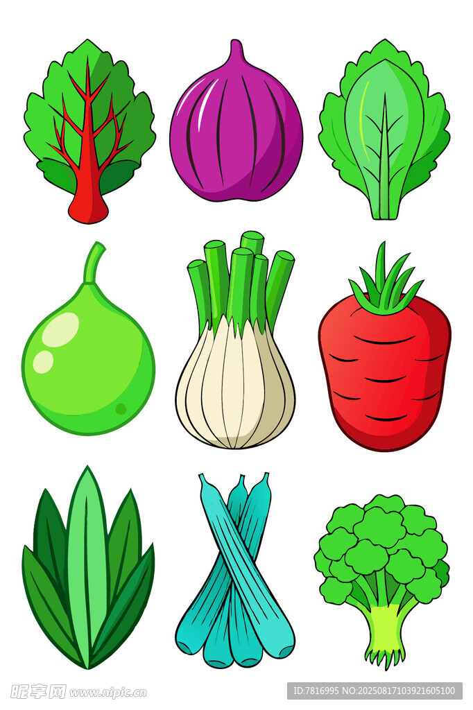 多样蔬菜集合