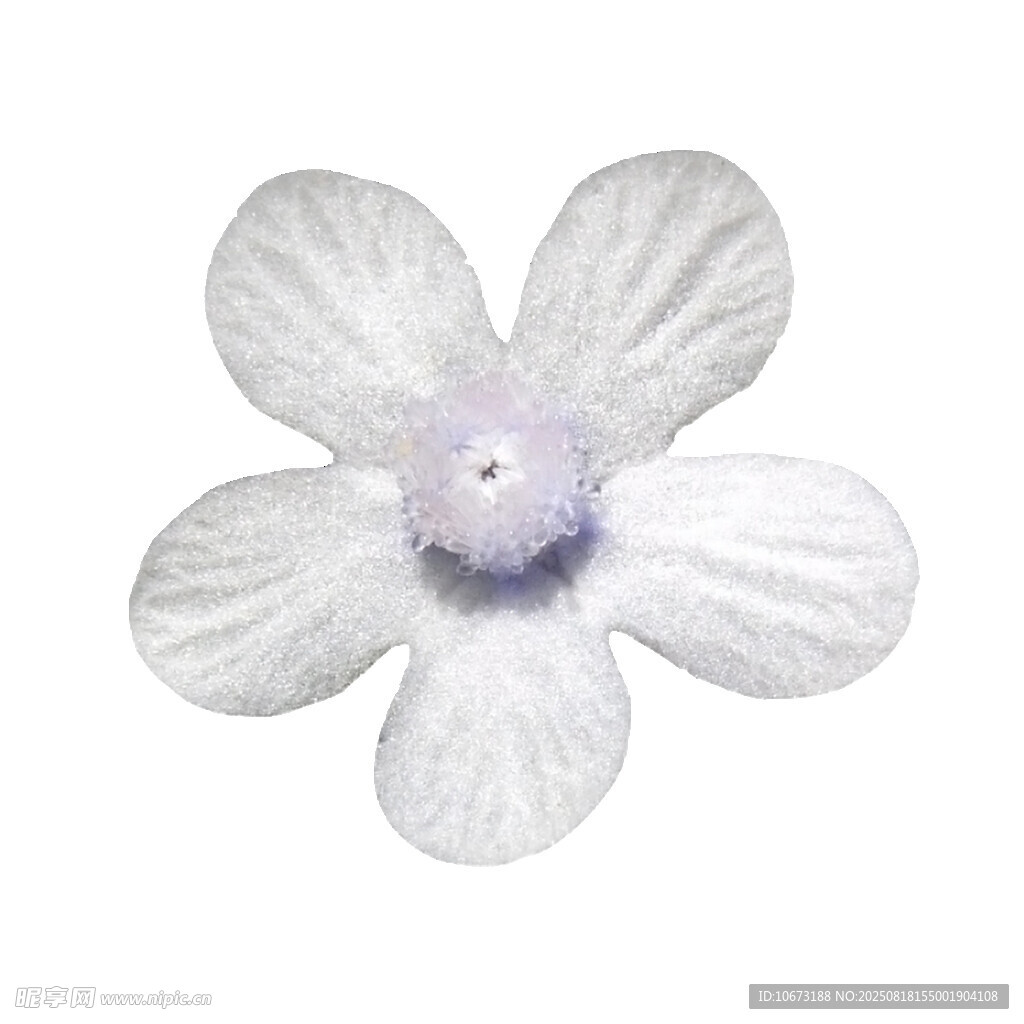 白色精致花朵饰品