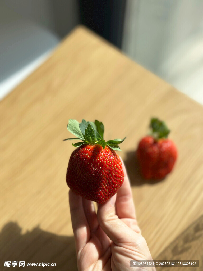 手捧新鲜草莓特写