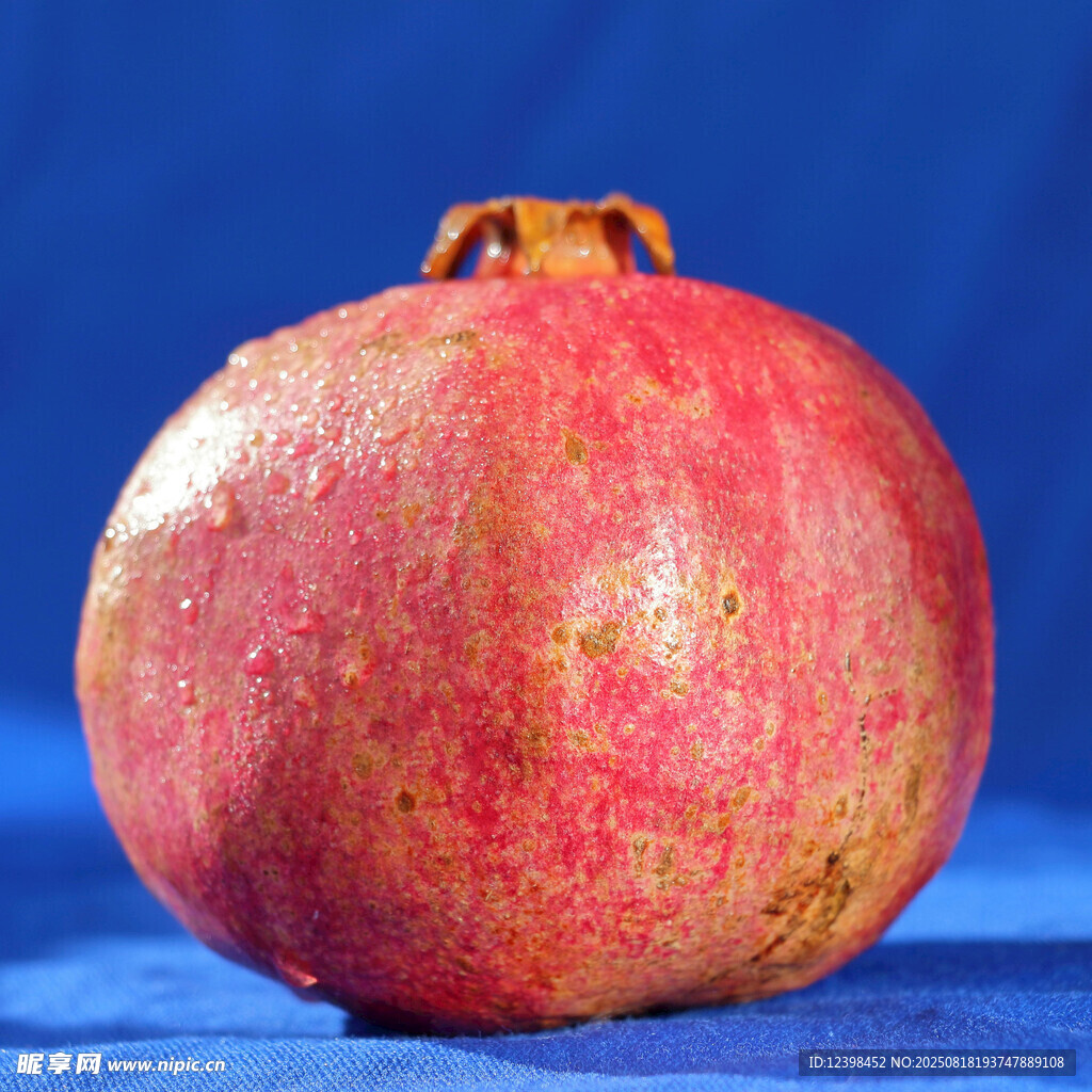 鲜红饱满的单个石榴