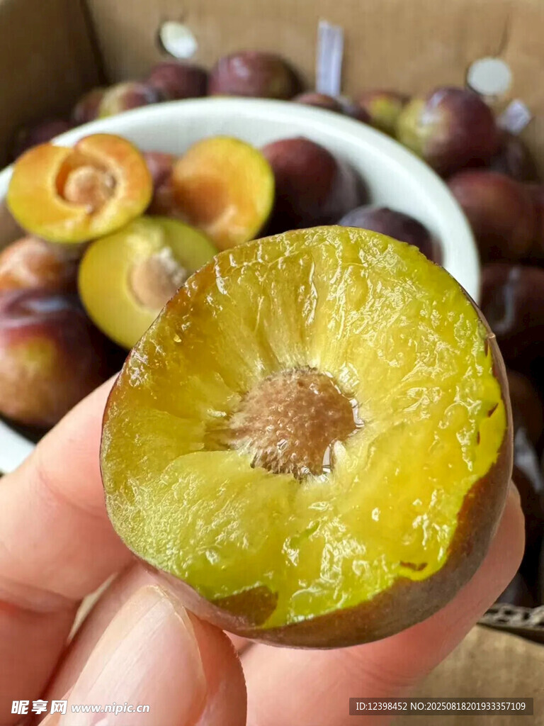 脆红李