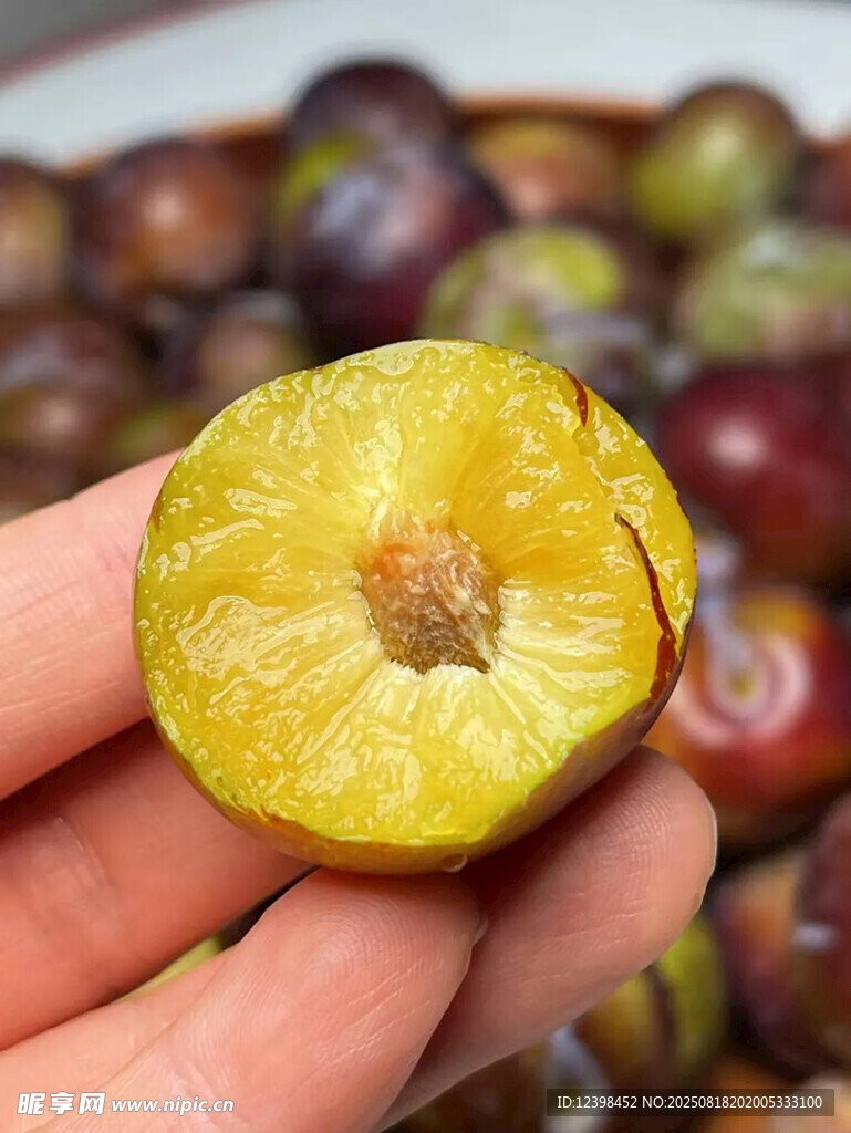 手捧切开的新鲜黄心李子