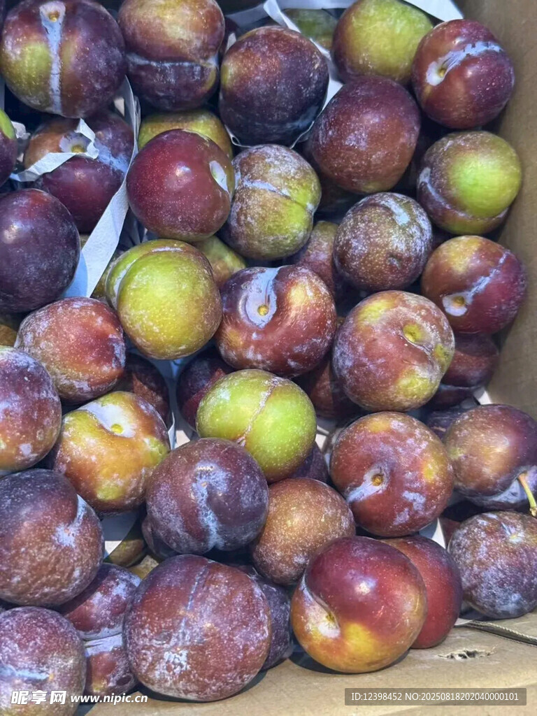 新鲜多样李子堆成小山