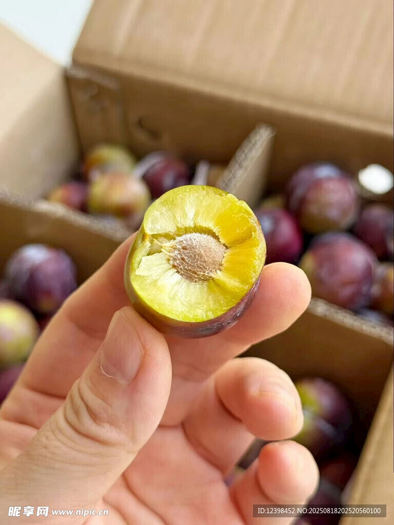 手捧切开的新鲜李子