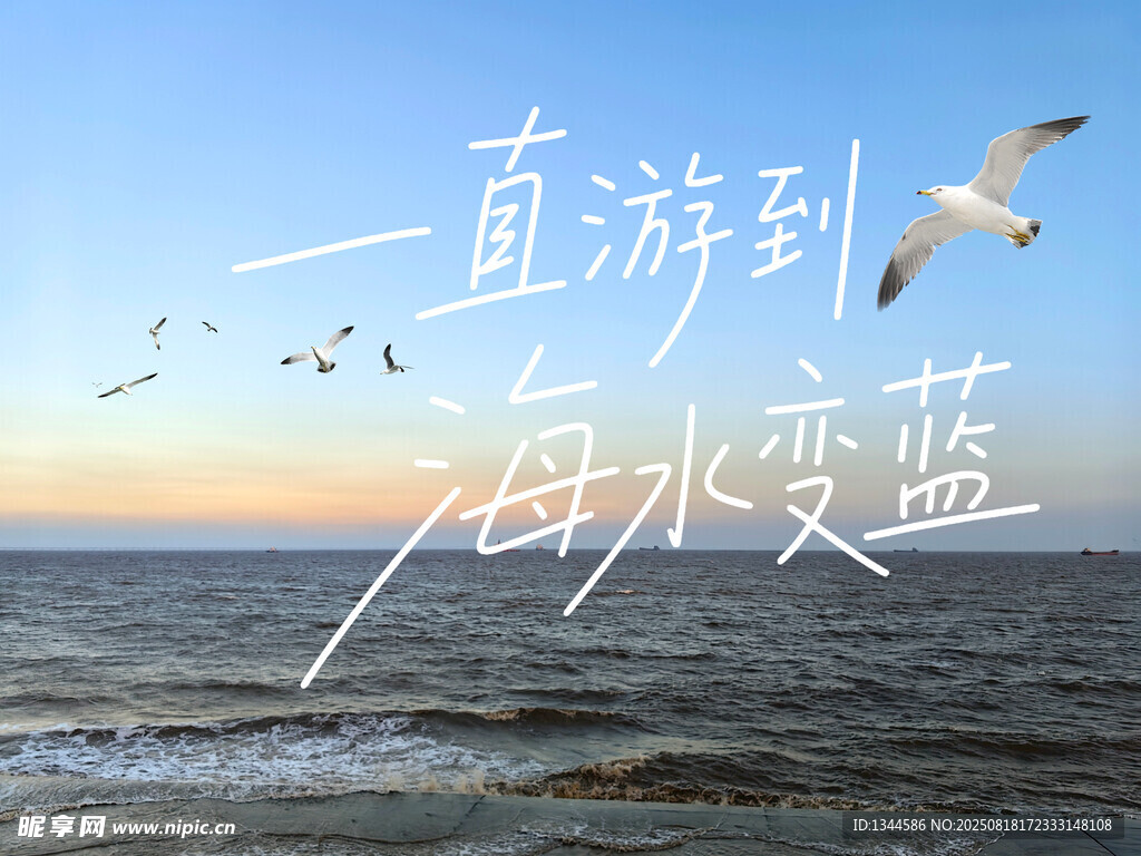 大海一直游到海水变蓝封面