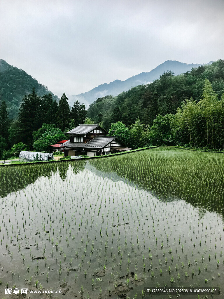 山间稻田中的古朴小屋