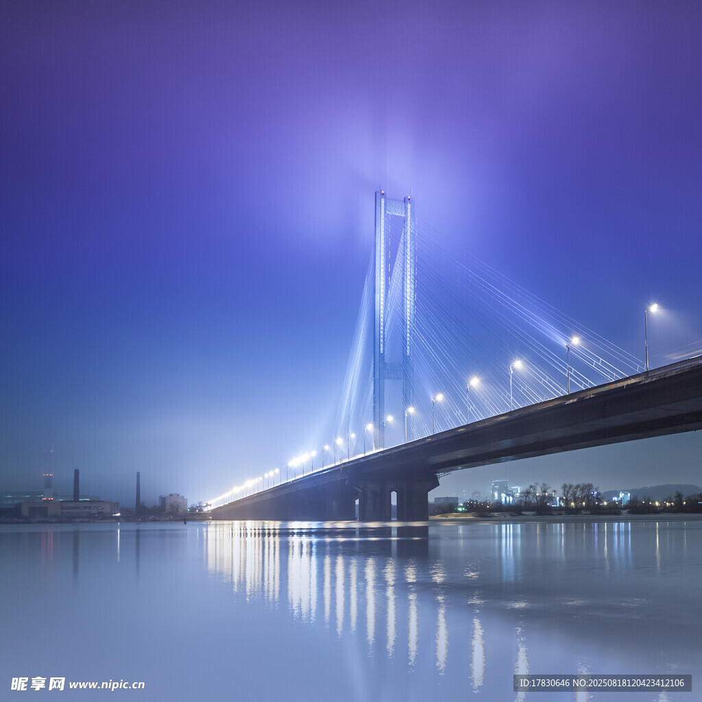 夜幕下的美丽跨江大桥
