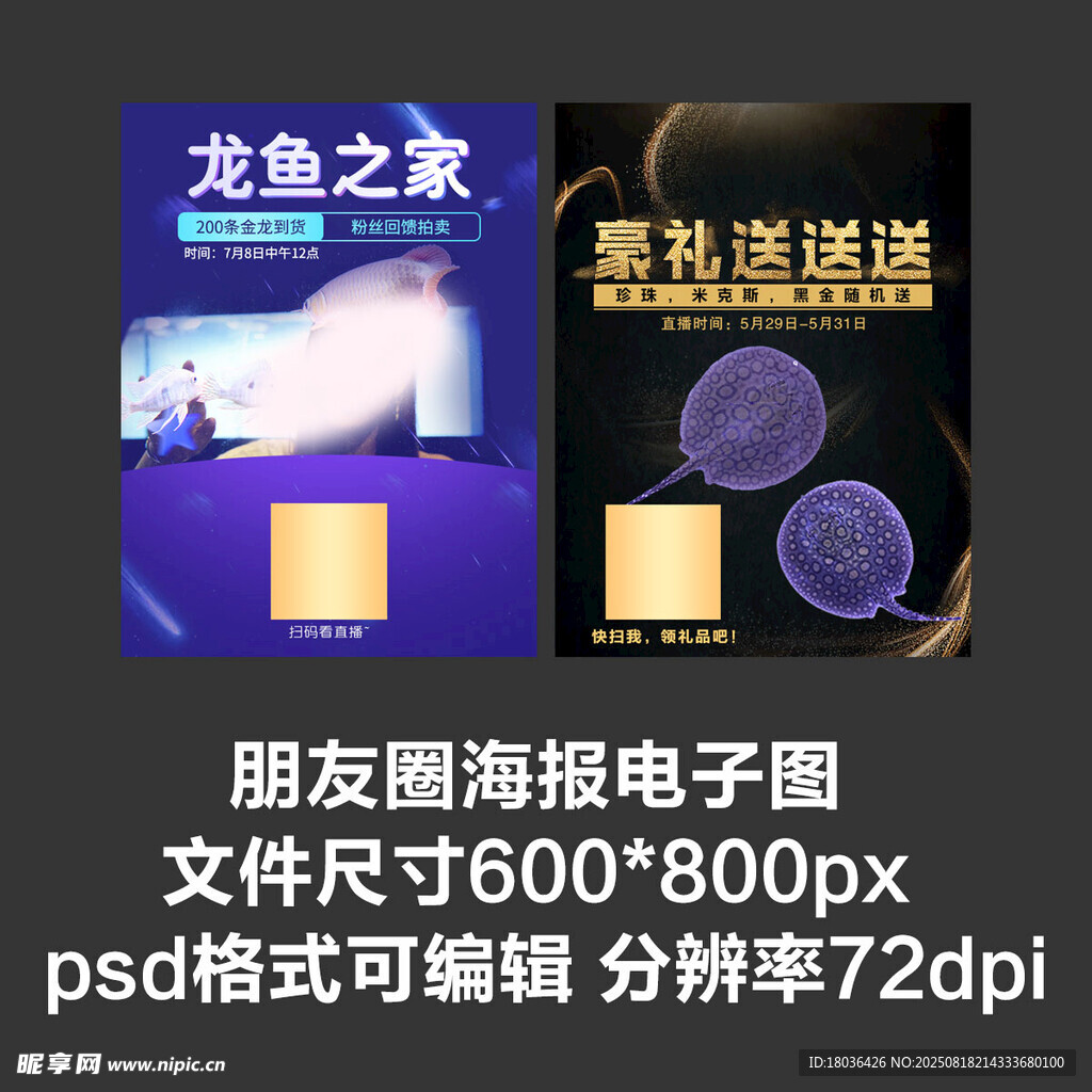 APP启动页朋友圈海报轮播
