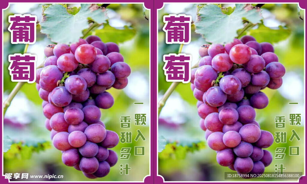葡萄
